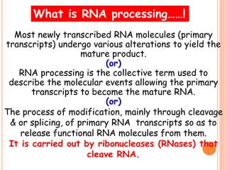 Most newly transcribed RNA molecules (primary
transcripts) undergo various alterations to yield the
mature product.
(or)
RNA processing is the collective term used to
describe the molecular events allowing the primary
transcripts to become the mature RNA.
(or)
The process of modification, mainly through cleavage
& or splicing, of primary RNA transcripts so as to
release functional RNA molecules from them.
It is carried out by ribonucleases (RNases) that
cleave RNA.
What is RNA processing……!
 