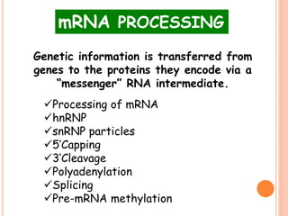 Processing of mRNA
hnRNP
snRNP particles
5’Capping
3’Cleavage
Polyadenylation
Splicing
Pre-mRNA methylation
mRNA PROCESSING
Genetic information is transferred from
genes to the proteins they encode via a
“messenger” RNA intermediate.
 