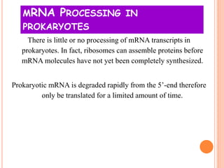 MRNA PROCESSING IN
PROKARYOTES
There is little or no processing of mRNA transcripts in
prokaryotes. In fact, ribosomes can assemble proteins before
mRNA molecules have not yet been completely synthesized.
Prokaryotic mRNA is degraded rapidly from the 5’-end therefore
only be translated for a limited amount of time.
 