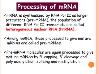 mRNA is synthesized by RNA Pol II as longer
precursors (pre-mRNA), the population of
different RNA Pol II transcripts are called
heterogeneous nuclear RNA (hnRNA).
Among hnRNA, those processed to give mature
mRNAs are called pre-mRNAs.
Pre-mRNA molecules are again processed to give
mature mRNAs by 5’-capping, 3’-cleavage and
poly adenylation, splicing and methylation.
Processing of mRNA
 