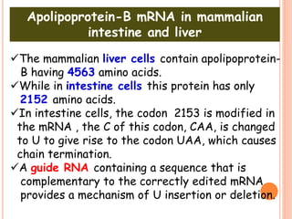 Apolipoprotein-B mRNA in mammalian
intestine and liver
The mammalian liver cells contain apolipoprotein-
B having 4563 amino acids.
While in intestine cells this protein has only
2152 amino acids.
In intestine cells, the codon 2153 is modified in
the mRNA , the C of this codon, CAA, is changed
to U to give rise to the codon UAA, which causes
chain termination.
A guide RNA containing a sequence that is
complementary to the correctly edited mRNA
provides a mechanism of U insertion or deletion.
 