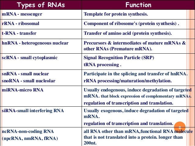 What is the function of mRNA?