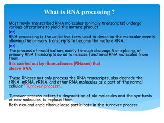 What Is Ran Processing RNA Processing | PPTX