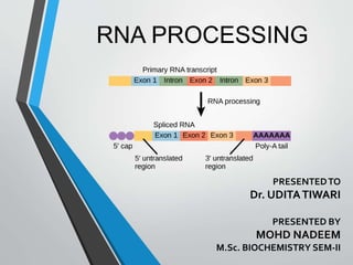 RNA PROCESSING
PRESENTEDTO
Dr. UDITATIWARI
PRESENTED BY
MOHD NADEEM
M.Sc. BIOCHEMISTRY SEM-II
 