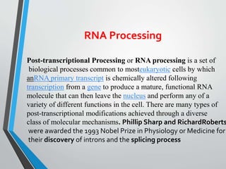 RNA PROCESSING | PPTX | Chemistry | Science