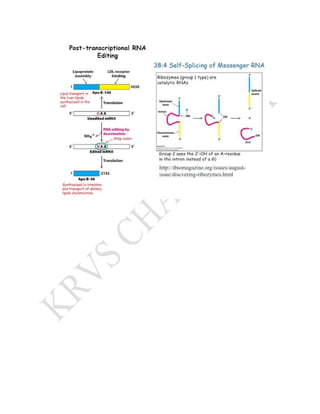 RNA PROCESSING | PDF