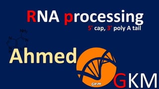 GKM
Ahmed
RNA processing5' cap, 3' poly A tail
 