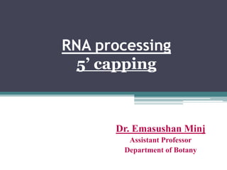 RNA processing
5’ capping
Dr. Emasushan Minj
Assistant Professor
Department of Botany
 