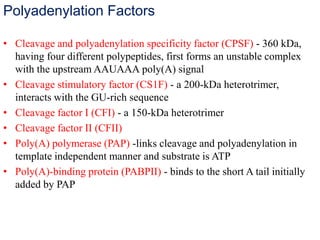 Polyadenylation Factors
• Cleavage and polyadenylation specificity factor (CPSF) - 360 kDa,
having four different polypeptides, first forms an unstable complex
with the upstream AAUAAA poly(A) signal
• Cleavage stimulatory factor (CS1F) - a 200-kDa heterotrimer,
interacts with the GU-rich sequence
• Cleavage factor I (CFI) - a 150-kDa heterotrimer
• Cleavage factor II (CFII)
• Poly(A) polymerase (PAP) -links cleavage and polyadenylation in
template independent manner and substrate is ATP
• Poly(A)-binding protein (PABPII) - binds to the short A tail initially
added by PAP
 