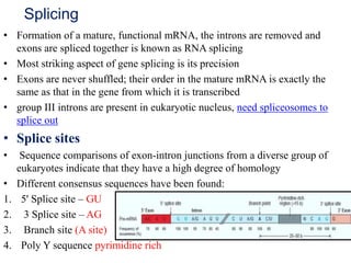 Splicing
• Formation of a mature, functional mRNA, the introns are removed and
exons are spliced together is known as RNA splicing
• Most striking aspect of gene splicing is its precision
• Exons are never shuffled; their order in the mature mRNA is exactly the
same as that in the gene from which it is transcribed
• group III introns are present in eukaryotic nucleus, need spliceosomes to
splice out
• Splice sites
• Sequence comparisons of exon-intron junctions from a diverse group of
eukaryotes indicate that they have a high degree of homology
• Different consensus sequences have been found:
1. 5' Splice site – GU
2. 3 Splice site – AG
3. Branch site (A site)
4. Poly Y sequence pyrimidine rich
 