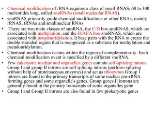 • Chemical modification of rRNA requires a class of small RNAS, 60 to 300
nucleotides long, called snoRNAs (small nucleolar RNAS).
• snoRNAS primarily guide chemical modifications or other RNAs, mainly
rRNAS, tRNAs and smallnuclear RNAs
• There are two main classes of snoRNA, the C/D box snoRNAS, which are
associated with methylation, and the H/ACA box snoRNAS, which are
associated with pseudouridylation. It base pairs with the RNA to create the
double stranded region that is recognized as a substrate for methylation and
pseudouridylation.
• Chemical modification occurs within the region of complementarity. Each
chemical modification event is specified by a different snoRNA.
• Few eukaryotic nuclear and organelles genes contain self-splicing introns.
Group I and group II introns are self splicing introns (perform splicing
without help of proteinaceous enzymes) and act as ribozymes Group 1
introns are found in the primary transcripts of some nuclear pre-rRNA
forming genes and some organelle's genes. Group genes.Il introns are
generally found in the primary transcripts of some organelles gene
• Group I and Group II introns are also found in few prokaryotic genes
 
