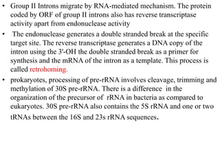 • Group II Introns migrate by RNA-mediated mechanism. The protein
coded by ORF of group II introns also has reverse transcriptase
activity apart from endonuclease activity
• The endonuclease generates a double stranded break at the specific
target site. The reverse transcriptase generates a DNA copy of the
intron using the 3'-OH the double stranded break as a primer for
synthesis and the mRNA of the intron as a template. This process is
called retrohoming.
• prokaryotes, processing of pre-rRNA involves cleavage, trimming and
methylation of 30S pre-rRNA. There is a difference in the
organization of the precursor of rRNA in bacteria as compared to
eukaryotes. 30S pre-rRNA also contains the 5S rRNA and one or two
tRNAs between the 16S and 23s rRNA sequences.
 