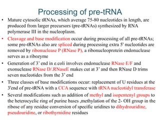 Processing of pre-tRNA
• Mature cytosolic tRNAs, which average 75-80 nucleotides in length, are
produced from larger precursors (pre-tRNAs) synthesized by RNA
polymerase III in the nucleoplasm.
• Cleavage and base modification occur during processing of all pre-tRNAs;
some pre-tRNAs also are spliced during processing extra 5' nucleotides are
removed by ribonuclease P (RNase P), a ribonucleoprotein endonuclease
serves as a ribozyme
• Generation of 3’ end in e.coli involves endonuclease RNase E/F and
exonuclease RNase D/.RNaseE makes cut at 3’ and then RNase D trims
seven nucleotides from the 3’ end
• Three classes of base modifications occur: replacement of U residues at the
3'end of pre-tRNA with a CCA sequence with tRNA nucleotidyl transferase
• Several modifications such as addition of methyl and isopentenyl groups to
the heterocyclic ring of purine bases ,methylation of the 2- OH group in the
ribose of any residue conversion of specific uridines to dihydrouridine,
pseudouridine, or ribothymidine residues
 