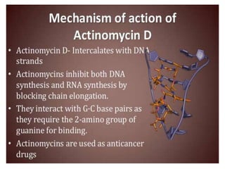 Rna processing