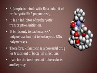 Rna processing