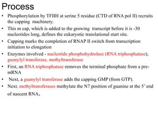Process
• Phosphorylation by TFIIH at serine 5 residue (CTD of RNA pol II) recruits
the capping machinery.
• This m cap, which is added to the growing transcript before it is -30
nucleotides long, defines the eukaryotic translational start site.
• Capping marks the completion of RNAP II switch from transcription
initiation to elongation
• Enzymes involved - nucleotide phosphohydrolase (RNA triphosphatase),
guanylyl transferase, methyltransferase
• First, an RNA triphosphatase removes the terminal phosphate from a pre-
mRNA
• Next, a guanylyl transferase adds the capping GMP (from GTP).
• Next, methyltransferases methylate the N7 position of guanine at the 5’ end
of nascent RNA.
 