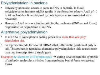 Rna processing | PPT