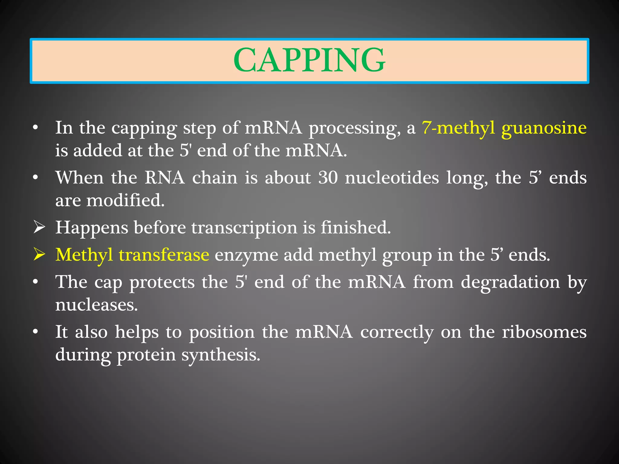 CAPPING
• In the capping step of mRNA processing, a 7-methyl guanosine
is added at the 5' end of the mRNA.
• When the RNA chain is about 30 nucleotides long, the 5’ ends
are modified.
 Happens before transcription is finished.
 Methyl transferase enzyme add methyl group in the 5’ ends.
• The cap protects the 5' end of the mRNA from degradation by
nucleases.
• It also helps to position the mRNA correctly on the ribosomes
during protein synthesis.
 