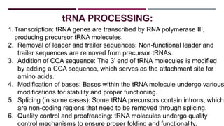 rna processing in prokaryotes and eukaryotes.pptx