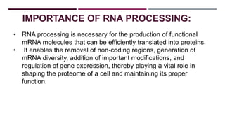 • RNA processing is necessary for the production of functional
mRNA molecules that can be efficiently translated into proteins.
• It enables the removal of non-coding regions, generation of
mRNA diversity, addition of important modifications, and
regulation of gene expression, thereby playing a vital role in
shaping the proteome of a cell and maintaining its proper
function.
IMPORTANCE OF RNA PROCESSING:
 