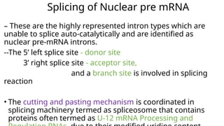 RNA Processing: Post-Transcriptional Modification | PPTX