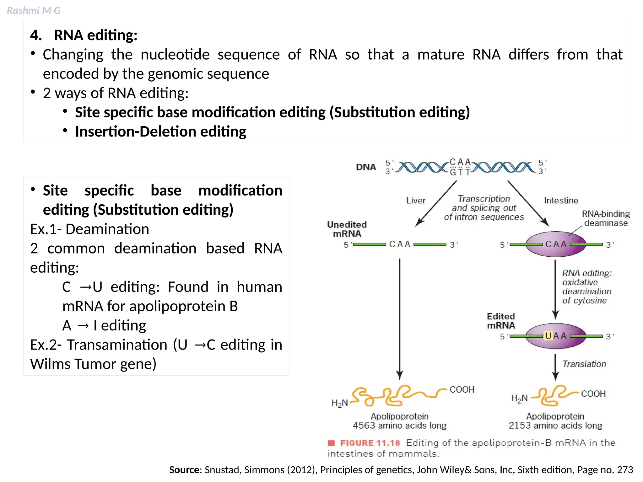 Rashmi M G
4. RNA editing:
• Changing the nucleotide sequence of RNA so that a mature RNA differs from that
encoded by the genomic sequence
• 2 ways of RNA editing:
• Site specific base modification editing (Substitution editing)
• Insertion-Deletion editing
• Site specific base modification
editing (Substitution editing)
Ex.1- Deamination
2 common deamination based RNA
editing:
C →U editing: Found in human
mRNA for apolipoprotein B
A → I editing
Ex.2- Transamination (U →C editing in
Wilms Tumor gene)
Source: Snustad, Simmons (2012), Principles of genetics, John Wiley& Sons, Inc, Sixth edition, Page no. 273
 