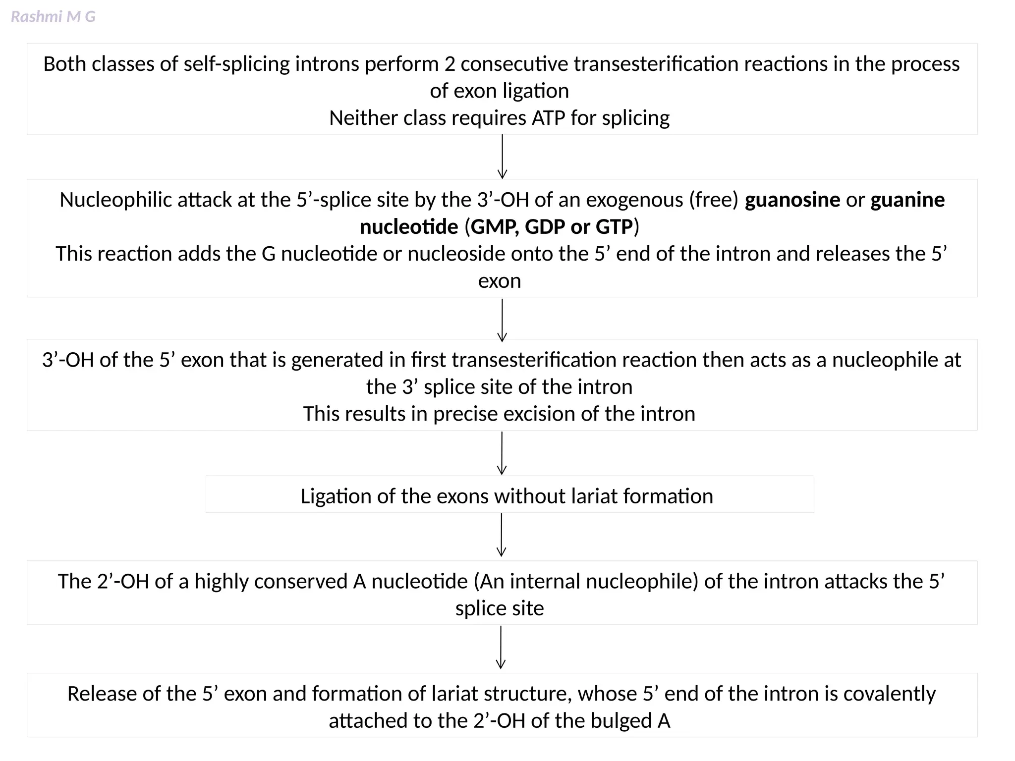 Rashmi M G
Both classes of self-splicing introns perform 2 consecutive transesterification reactions in the process
of exon ligation
Neither class requires ATP for splicing
Nucleophilic attack at the 5’-splice site by the 3’-OH of an exogenous (free) guanosine or guanine
nucleotide (GMP, GDP or GTP)
This reaction adds the G nucleotide or nucleoside onto the 5’ end of the intron and releases the 5’
exon
3’-OH of the 5’ exon that is generated in first transesterification reaction then acts as a nucleophile at
the 3’ splice site of the intron
This results in precise excision of the intron
Ligation of the exons without lariat formation
The 2’-OH of a highly conserved A nucleotide (An internal nucleophile) of the intron attacks the 5’
splice site
Release of the 5’ exon and formation of lariat structure, whose 5’ end of the intron is covalently
attached to the 2’-OH of the bulged A
 