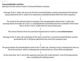 Rna Transesterification RNA processing (Introduction, Mechanism of processing, RNAediting ...