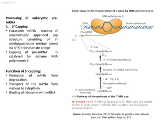 RNA processing (Introduction, Mechanism of processing, RNAediting ...