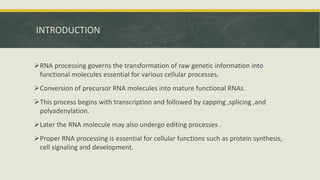 Rna Processing Introduction Comprehensive Overview of RNA Processing: From Transcription to ...