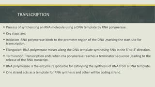 Comprehensive Overview of RNA Processing: From Transcription to ...