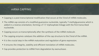 Comprehensive Overview of RNA Processing: From Transcription to ...