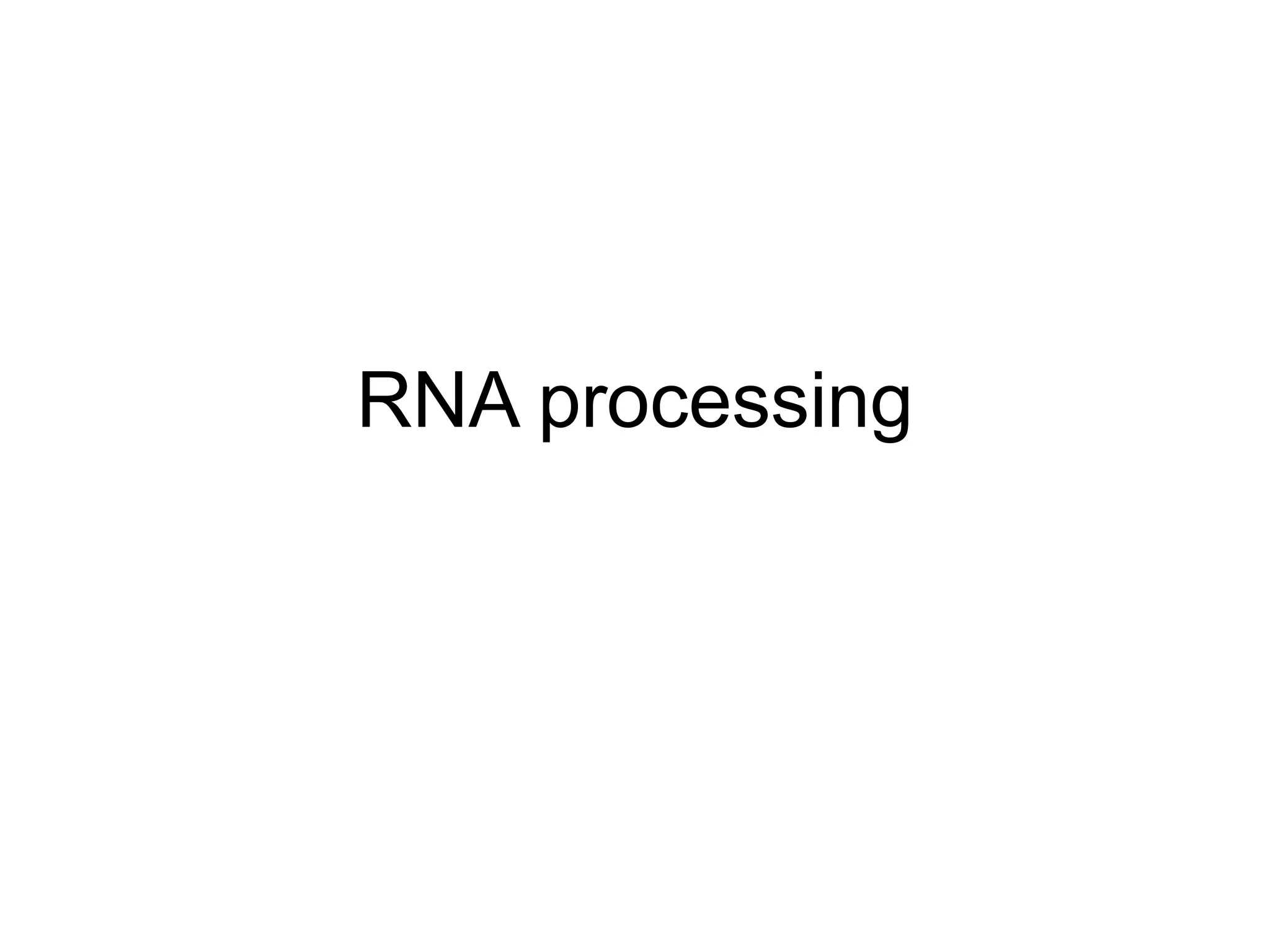 Steps for RNA processing in general .ppt