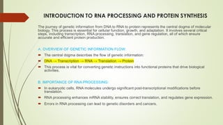 Rna Processing Introduction Comprehensive Overview of RNA Processing and Protein Synthesis ...