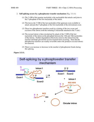 BMB 400 PART THREE - III = Chpt.12. RNA Processing
2. Self-splicing occurs by a phosphoester transfer mechanism (Fig. 3.3....