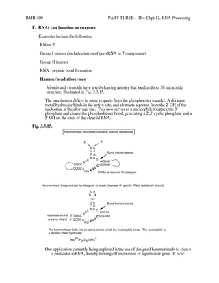 BMB 400 PART THREE - III = Chpt.12. RNA Processing
F. RNAs can function as enzymes
Examples include the following:
RNase P...