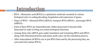 RNA processing complete.pptx | Biological Sciences | Science