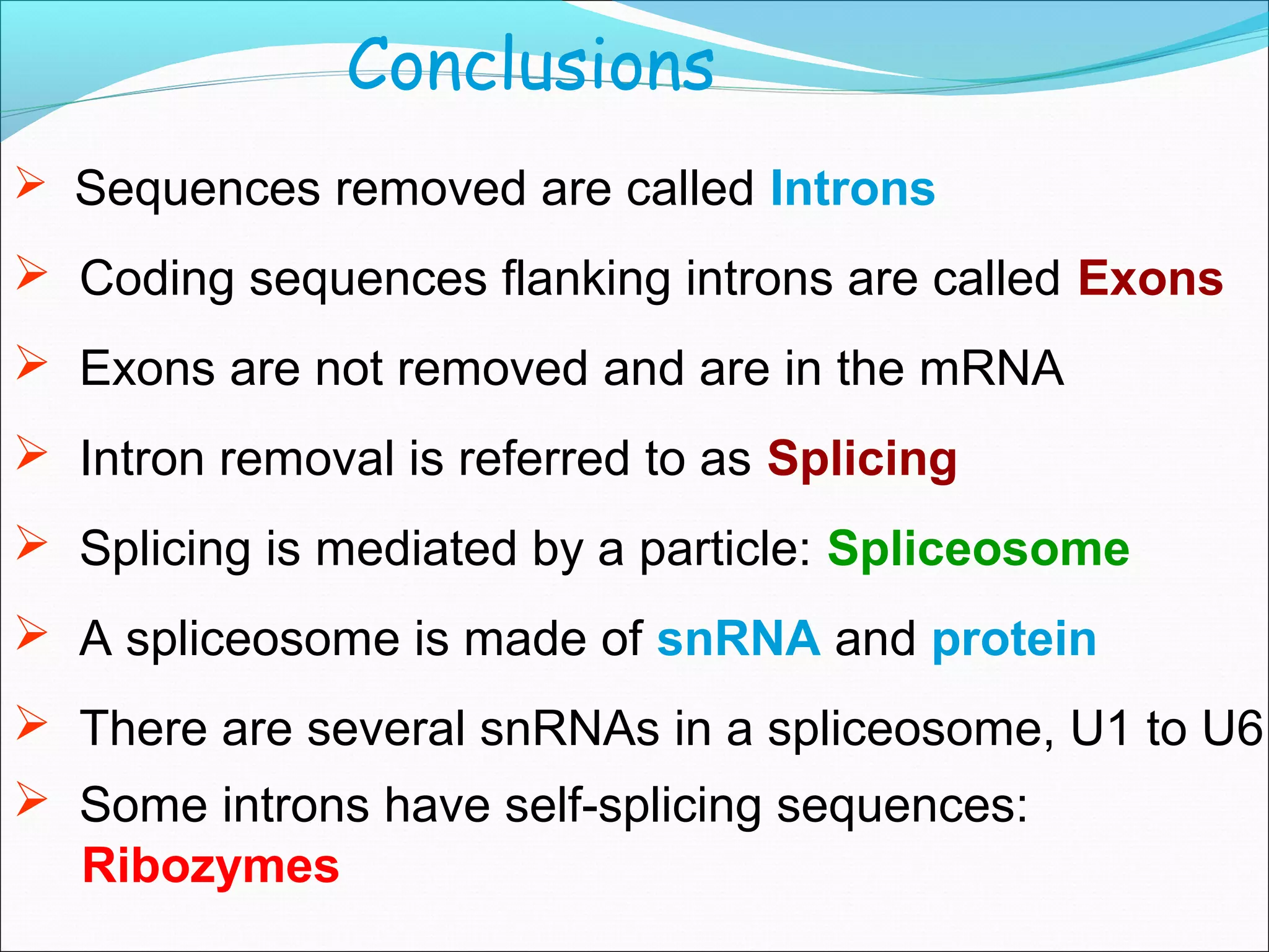 RNA processing final eukaryotes. | PPT