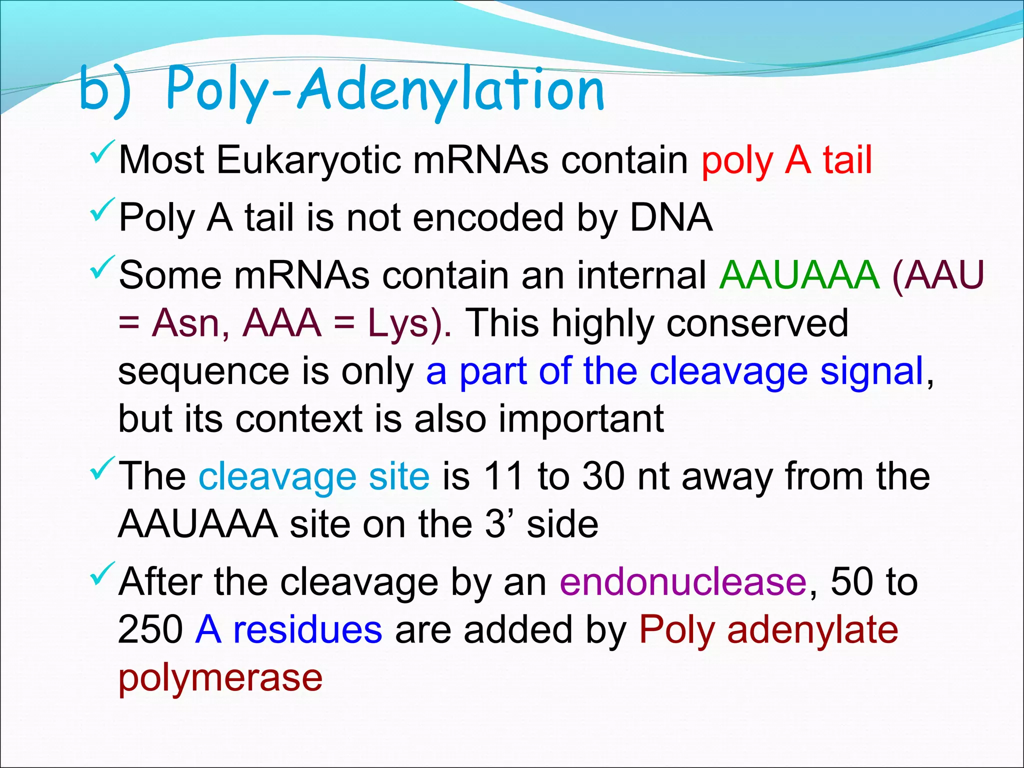 RNA processing final eukaryotes. | PPT