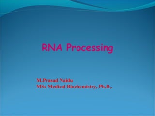RNA Processing
M.Prasad Naidu
MSc Medical Biochemistry, Ph.D,.
 