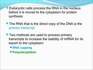 Rna Processing Introduction RNA processing final eukaryotes. | PPT