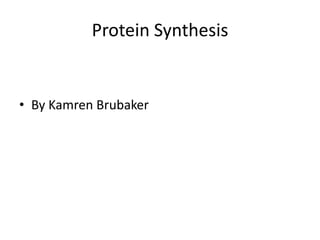 Protein Synthesis

• By Kamren Brubaker

 