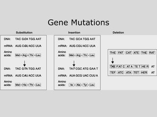 Gene Mutations Substitution Insertion Deletion 