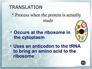 TRANSLATION
 Process when the protein is actually
made
• Uses an anticodon to the tRNA
to bring an amino acid to the
ribosome
• Occurs at the ribosome in
the cytoplasm
click to play animation
 