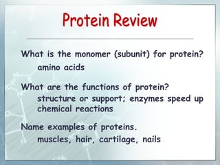 What is the monomer (subunit) for protein?
What are the functions of protein?
Name examples of proteins.
amino acids
structure or support; enzymes speed up
chemical reactions
muscles, hair, cartilage, nails
 