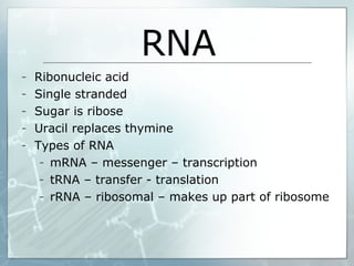 RNA
- Ribonucleic acid
- Single stranded
- Sugar is ribose
- Uracil replaces thymine
- Types of RNA
- mRNA – messenger – transcription
- tRNA – transfer - translation
- rRNA – ribosomal – makes up part of ribosome
 