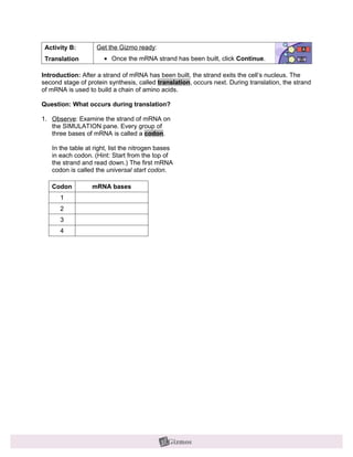 Activity B:        Get the Gizmo ready:
 Translation          • Once the mRNA strand has been built, click Continue.

Introduction: After a strand of mRNA has been built, the strand exits the cell’s nucleus. The
second stage of protein synthesis, called translation, occurs next. During translation, the strand
of mRNA is used to build a chain of amino acids.

Question: What occurs during translation?

1. Observe: Examine the strand of mRNA on
   the SIMULATION pane. Every group of
   three bases of mRNA is called a codon.

   In the table at right, list the nitrogen bases
   in each codon. (Hint: Start from the top of
   the strand and read down.) The first mRNA
   codon is called the universal start codon.

   Codon          mRNA bases
      1
      2
      3
      4
 