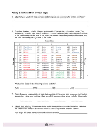 Activity B (continued from previous page)

5. Infer: Why do you think stop and start codon signals are necessary for protein synthesis?

   _________________________________________________________________________

   _________________________________________________________________________


6. Translate: Codons code for different amino acids. Examine the codon chart below. The
   amino acid coded for by a specific mRNA codon can be determined by finding the first base
   of the codon along the left side of the table, the second base along the top of the table, and
   the third base along the right side of the table.




   _________________________________________________________________________




   What amino acids do the following codons code for?

   AUG: _____________ CUG: _____________ ACC: _____________ UAG: _____________


7. Apply: Suppose you wanted a protein that consists of the amino acid sequence methionine,
   asparagine, valine, and histidine. Give an mRNA sequence that would code for this protein.

           ___ ___ ___           ___ ___ ___          ___ ___ ___           ___ ___ ___


8. Extend your thinking: Sometimes errors occur during transcription or translation. Examine
   the codon chart above. Each amino acid is coded for by several different codons.

   How might this offset transcription or translation errors? ____________________________
 