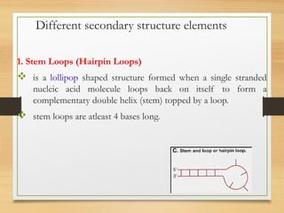 Different secondary structure elements
1. Stem Loops (Hairpin Loops)
 is a lollipop shaped structure formed when a single stranded
nucleic acid molecule loops back on itself to form a
complementary double helix (stem) topped by a loop.
 stem loops are atleast 4 bases long.
 
