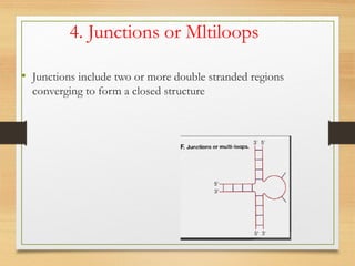 4. Junctions or Mltiloops
• Junctions include two or more double stranded regions
converging to form a closed structure
 